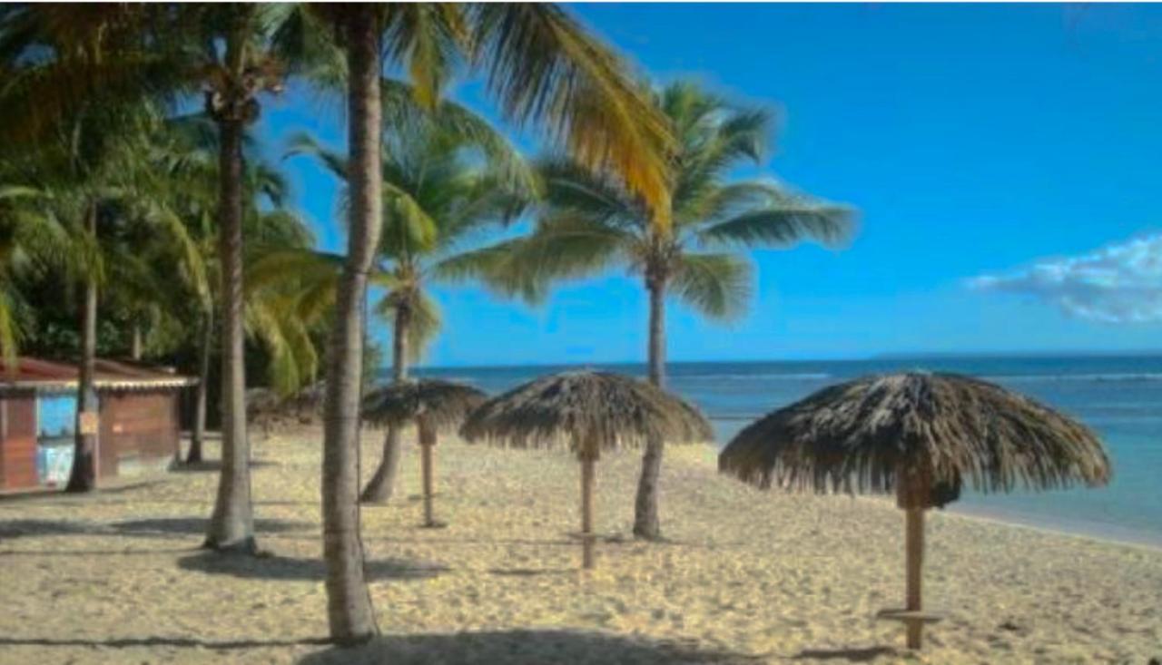 Le 35 Anse Des Rochers Saint-Francois エクステリア 写真
