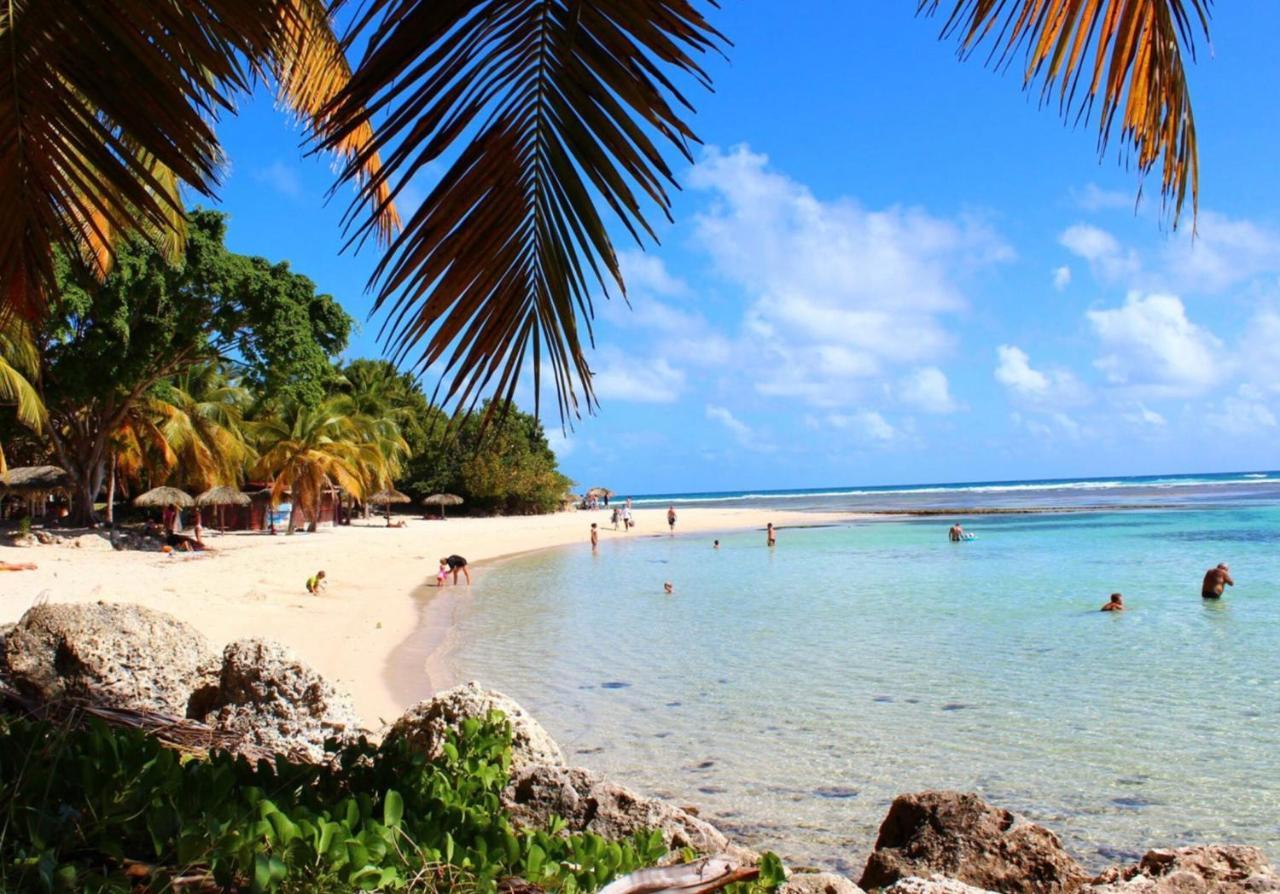 Le 35 Anse Des Rochers Saint-Francois エクステリア 写真
