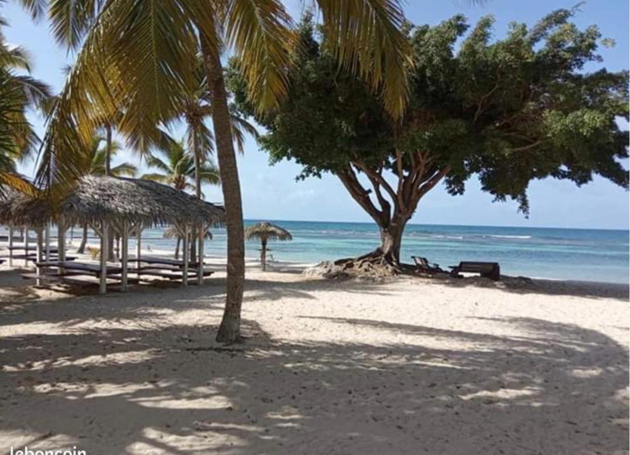 Le 35 Anse Des Rochers Saint-Francois エクステリア 写真